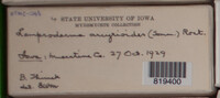 Image Associated With the Occurence